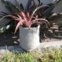 2 lt Fabric Pot | Heavy Duty