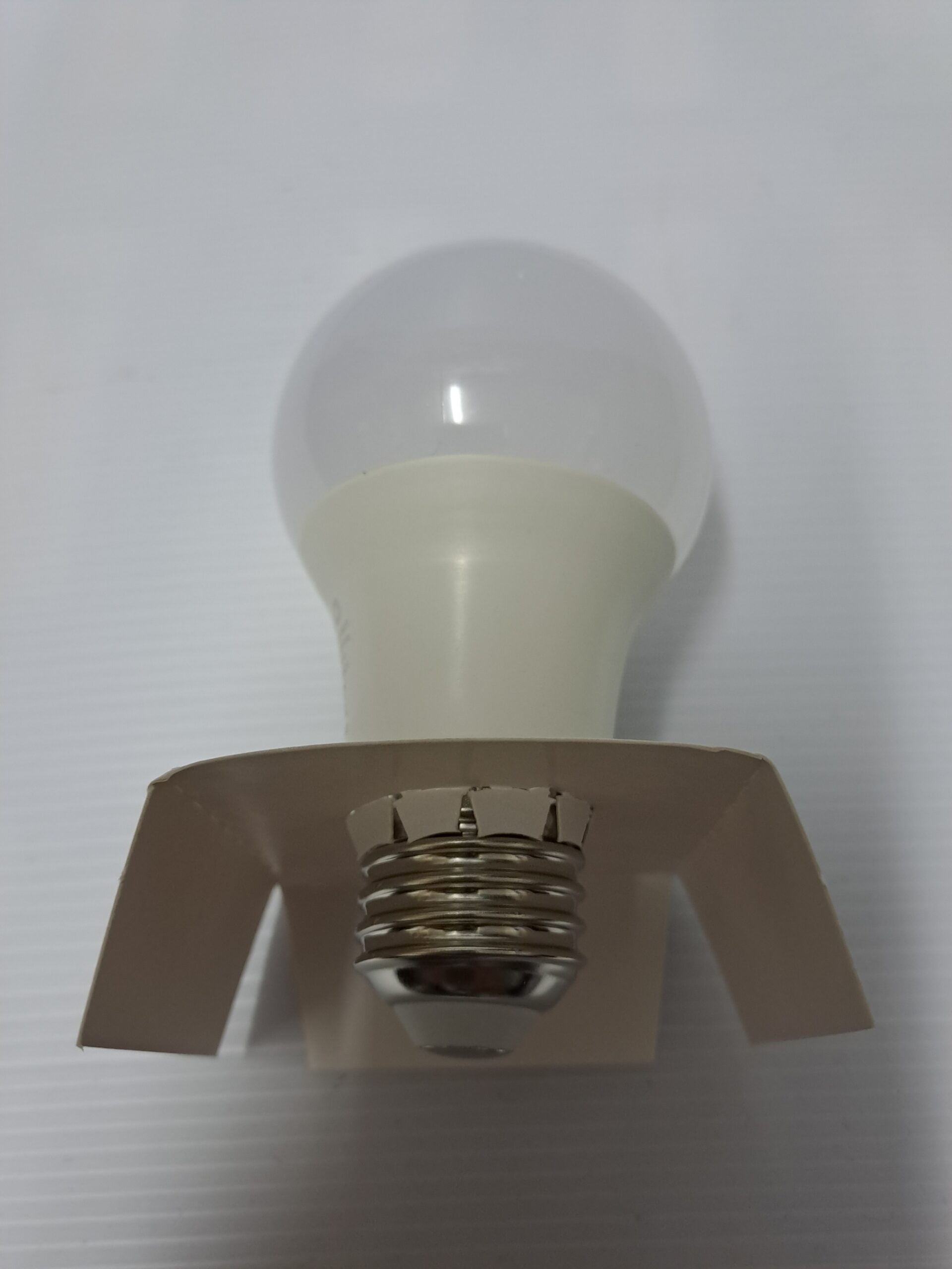 LED Light Bulb (Screw Type)