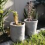 2 lt Fabric Pot | Heavy Duty