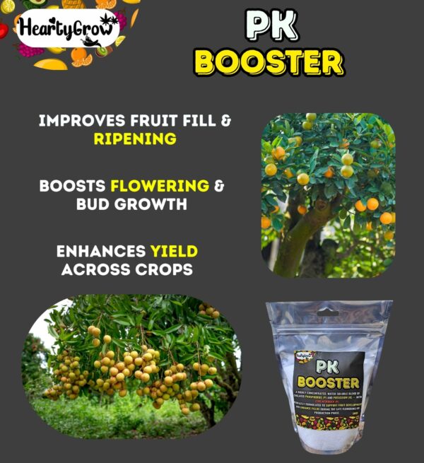 PK Booster 1kg