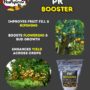 PK Booster 1kg