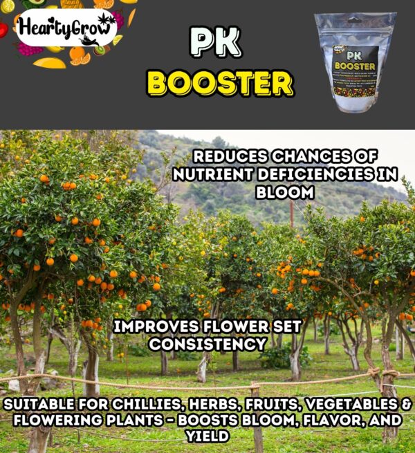 PK Booster 1kg