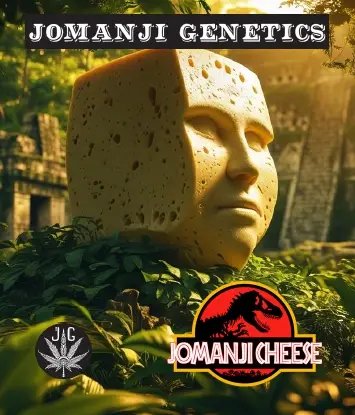 Jomanji Cheese *New*