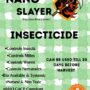 Nano Slayer | Insecticide | Concentrate