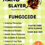 Nano Slayer | Fungicide | Concentrate