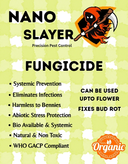 Nano Slayer | Fungicide | Concentrate