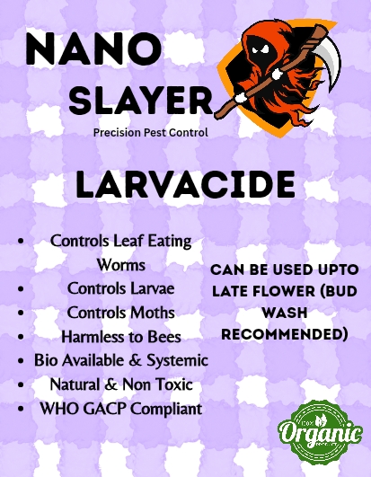 Nano Slayer | Larvacide | Concentrate